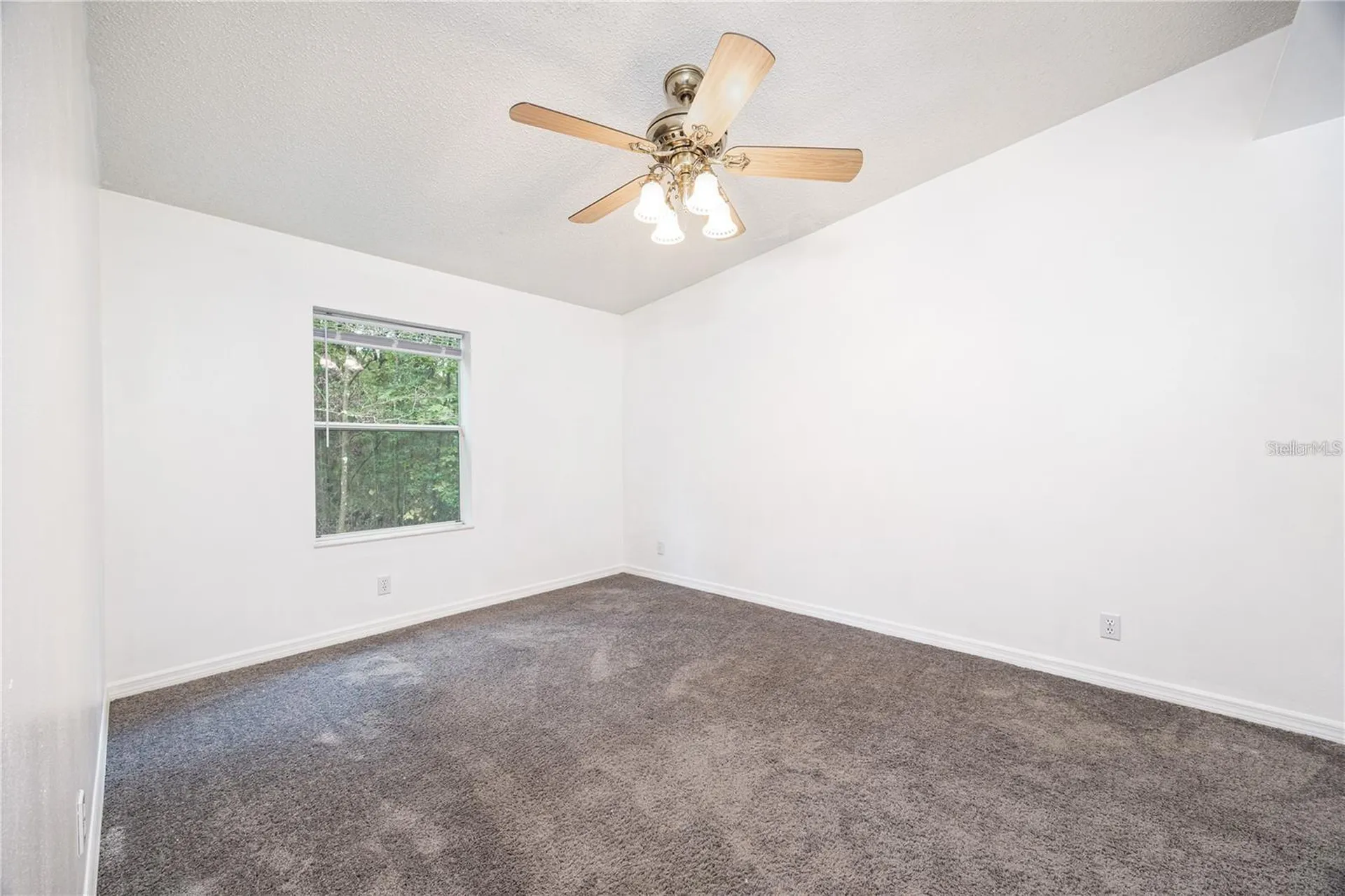 19396 NW 132nd Place Alachua FL 32615