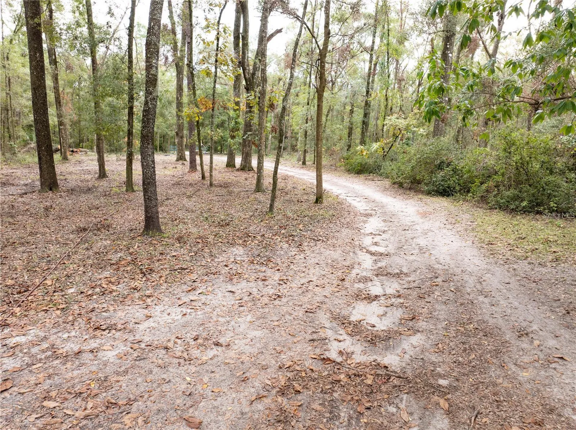 19396 NW 132nd Place Alachua FL 32615