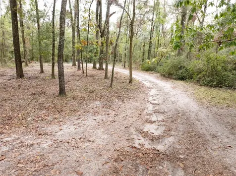 19396 NW 132nd Place Alachua FL 32615
