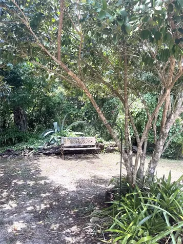 17847 County Road 455 Clermont FL 34715