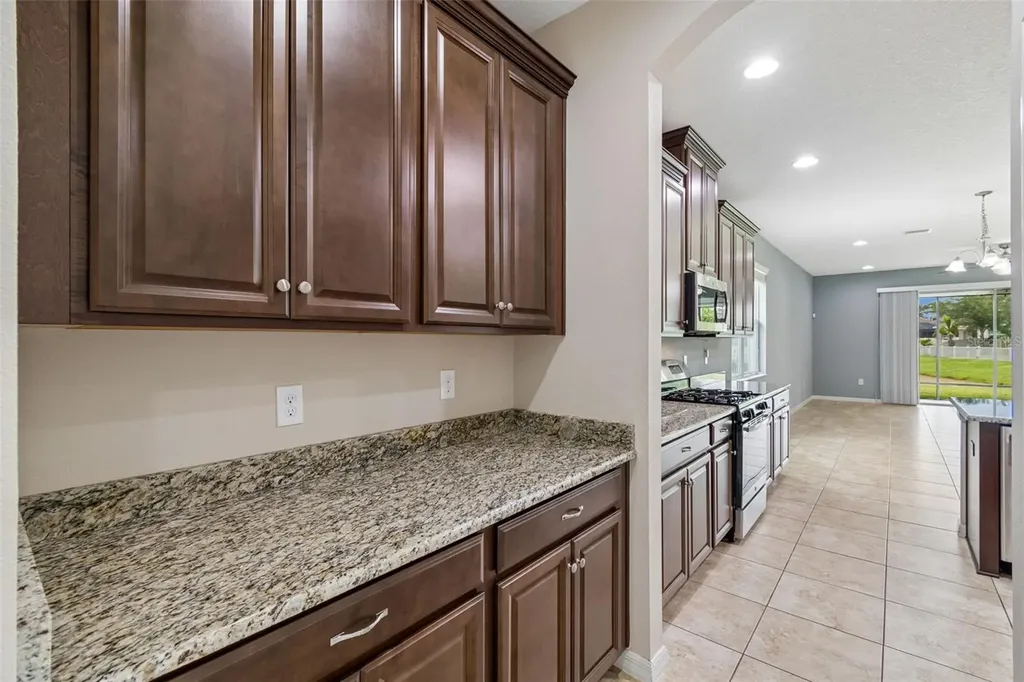 17566 Buckingham Garden Drive Lithia FL 33547