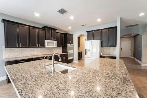 1038 Ketzal Drive Trinity FL 34655