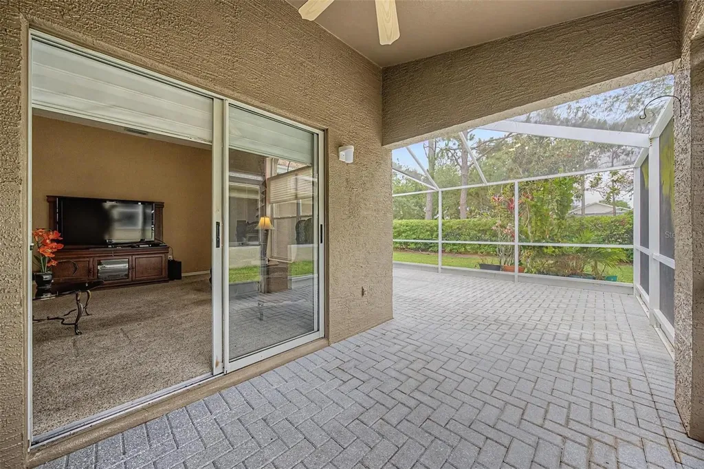 1335 Hickory Moss Place Trinity FL 34655