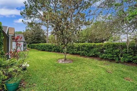 1335 Hickory Moss Place Trinity FL 34655