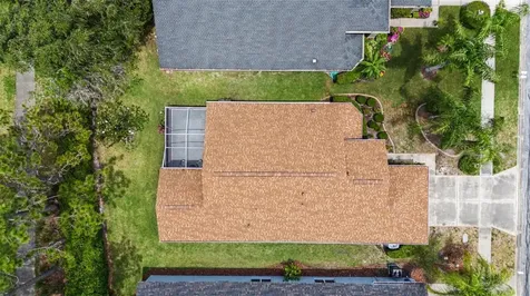 1335 Hickory Moss Place Trinity FL 34655