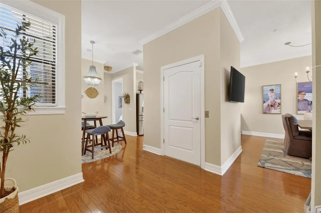 6408 Mayra Shores Lane Apollo Beach FL 33572