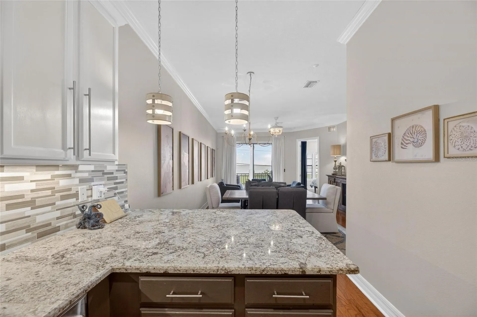 6408 Mayra Shores Lane Apollo Beach FL 33572