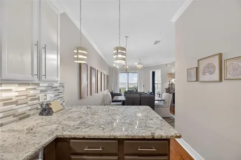 6408 Mayra Shores Lane Apollo Beach FL 33572