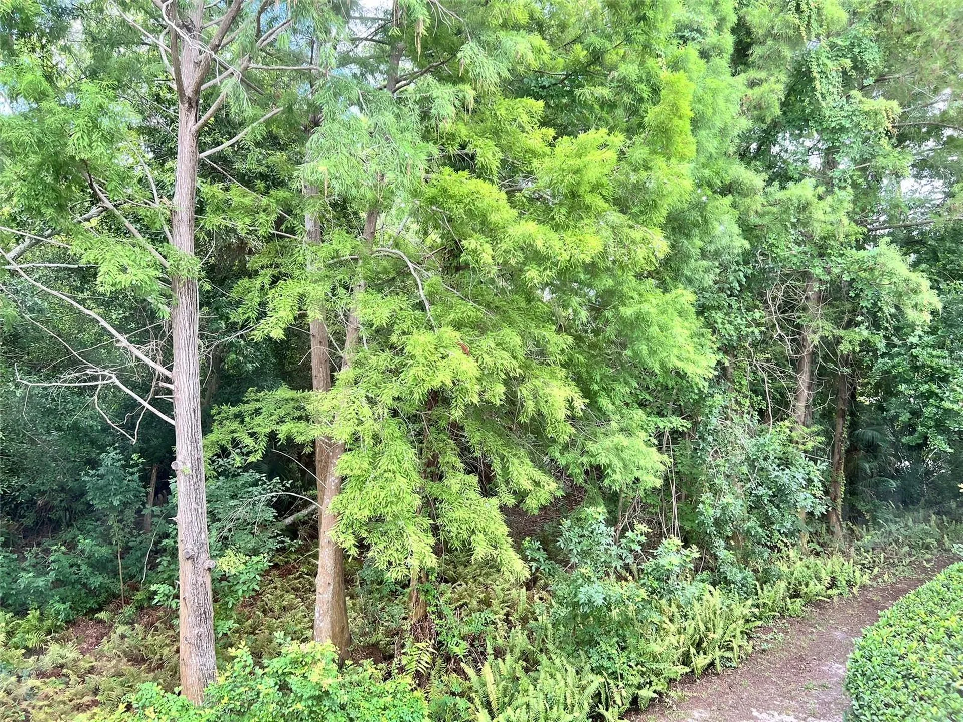 3608 54th Drive W Bradenton FL 34210