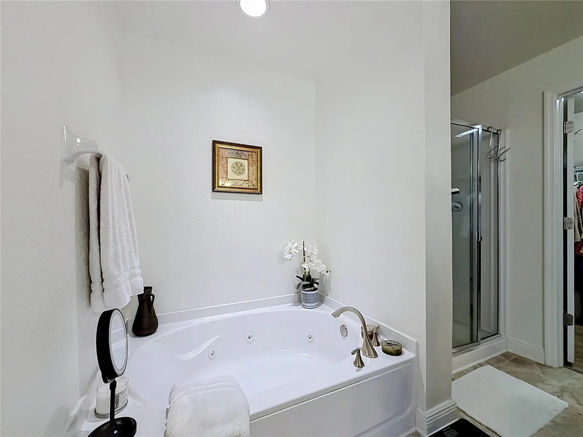 8580 SE 163rd Lane Summerfield FL 34491