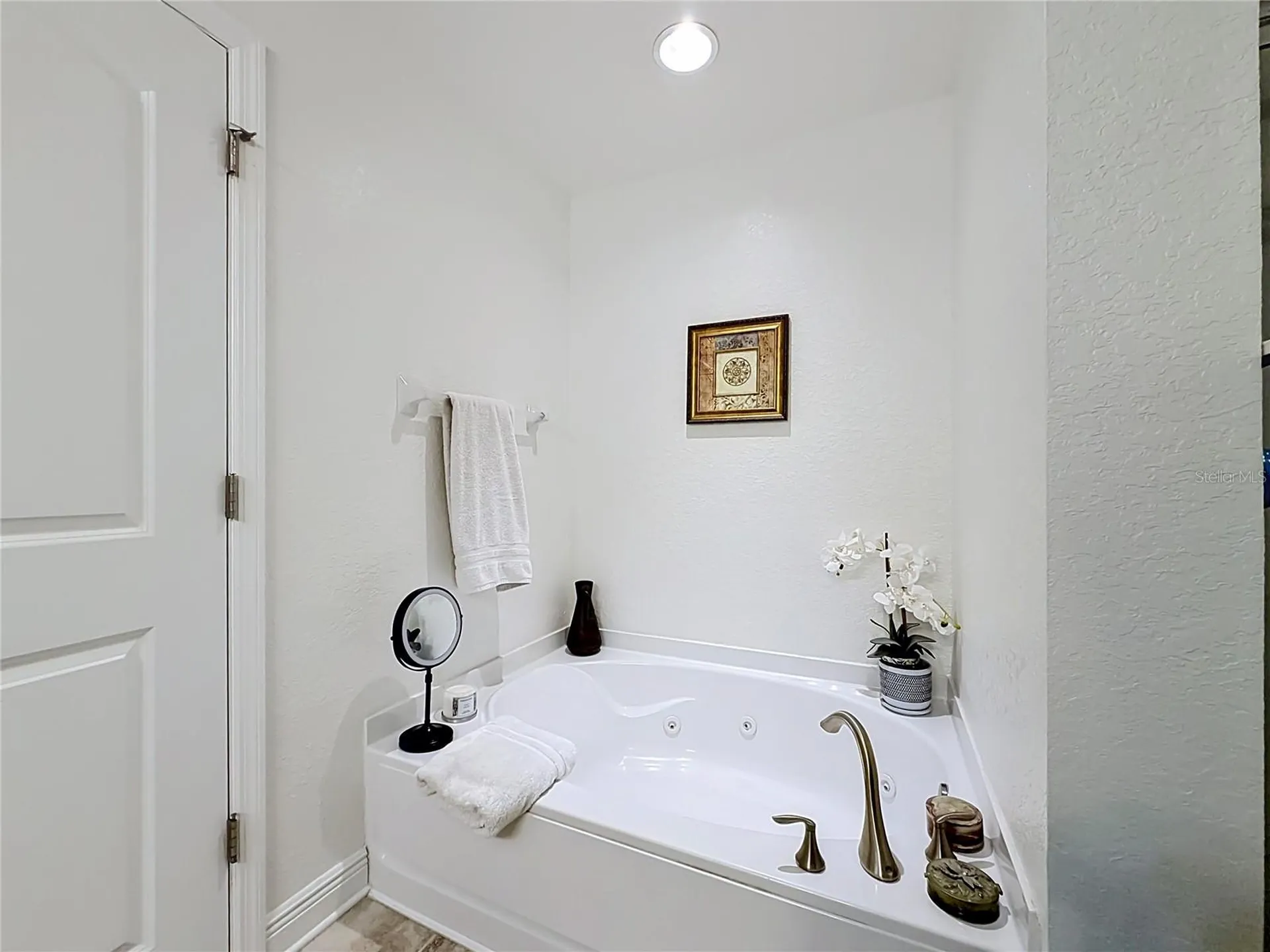 8580 SE 163rd Lane Summerfield FL 34491