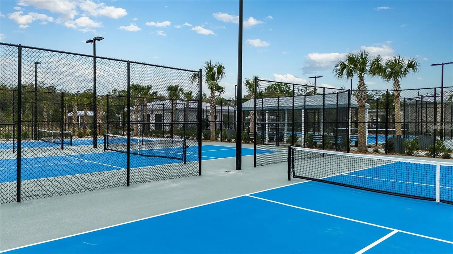 10852 Ibis Brook Court Land O Lakes FL 34638
