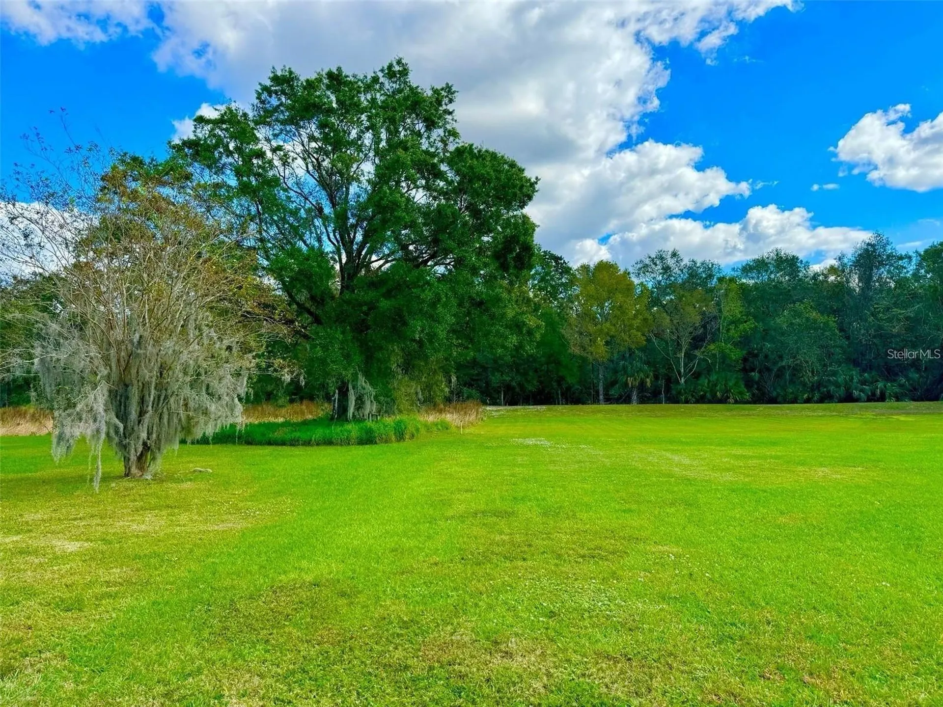 2837 Sherry Brook Lane Lutz FL 33559