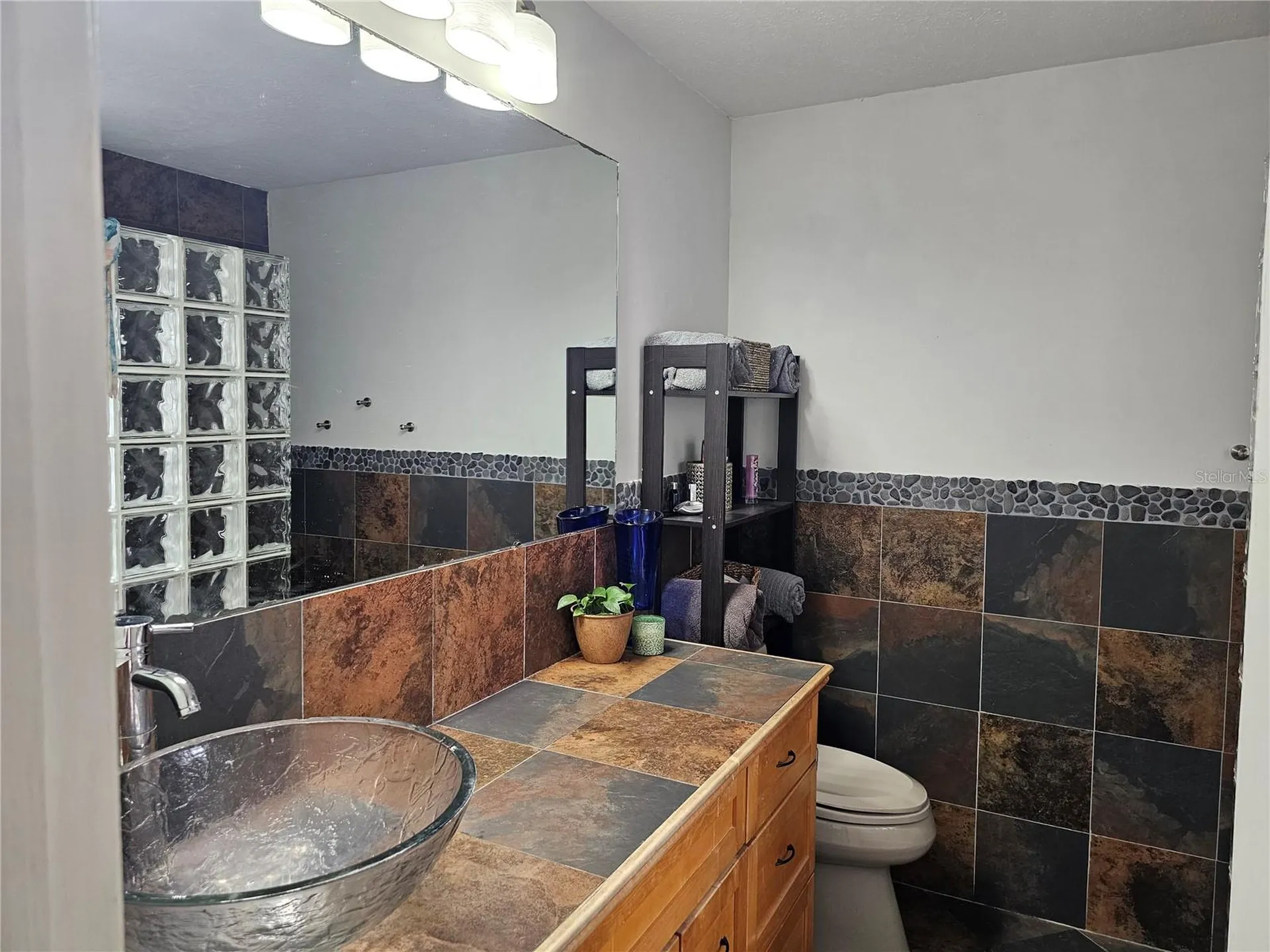 18322 Swan Lake Drive Lutz FL 33549