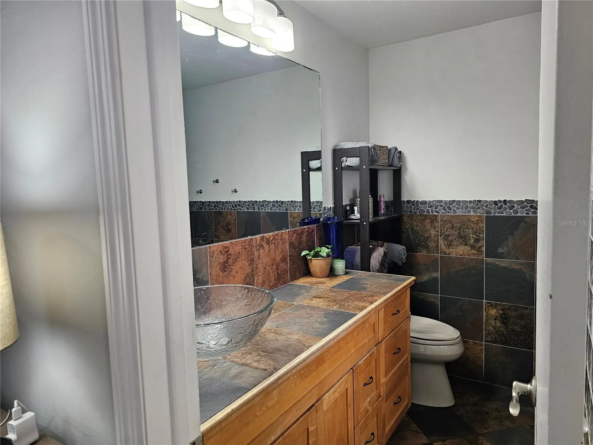 18322 Swan Lake Drive Lutz FL 33549