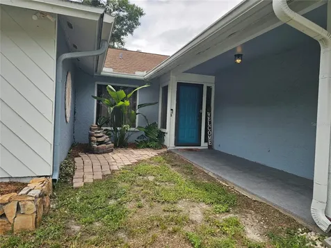 18322 Swan Lake Drive Lutz FL 33549