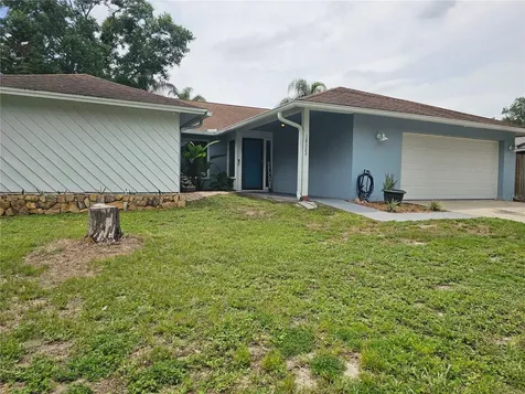 18322 Swan Lake Drive Lutz FL 33549