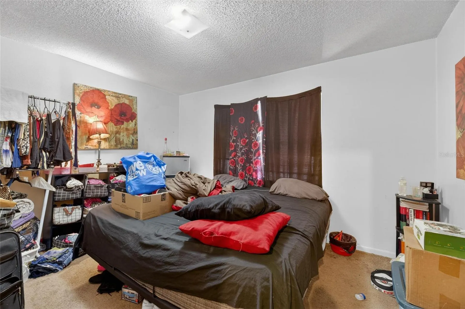 8725 N 46th Street Tampa FL 33617