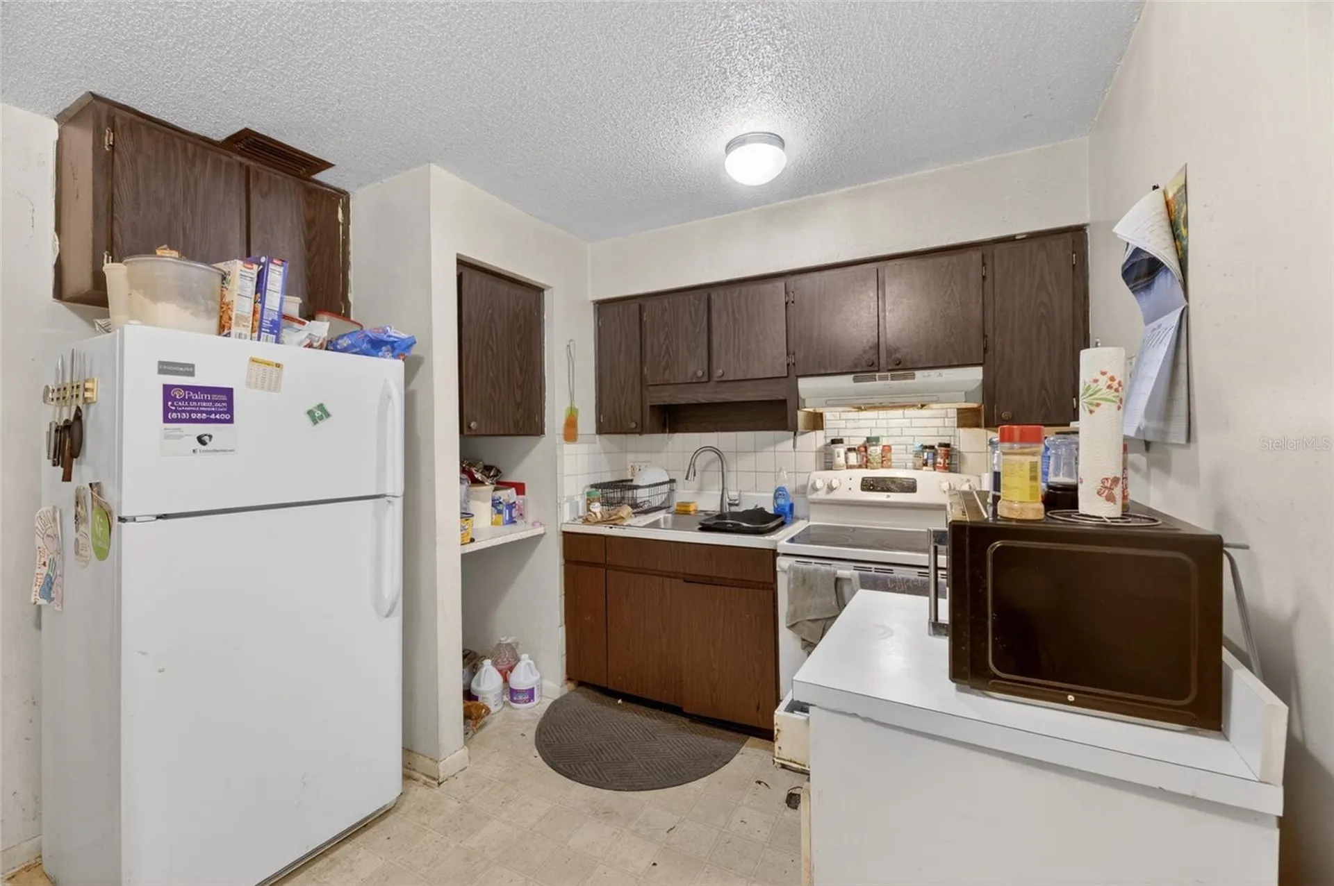 8725 N 46th Street Tampa FL 33617
