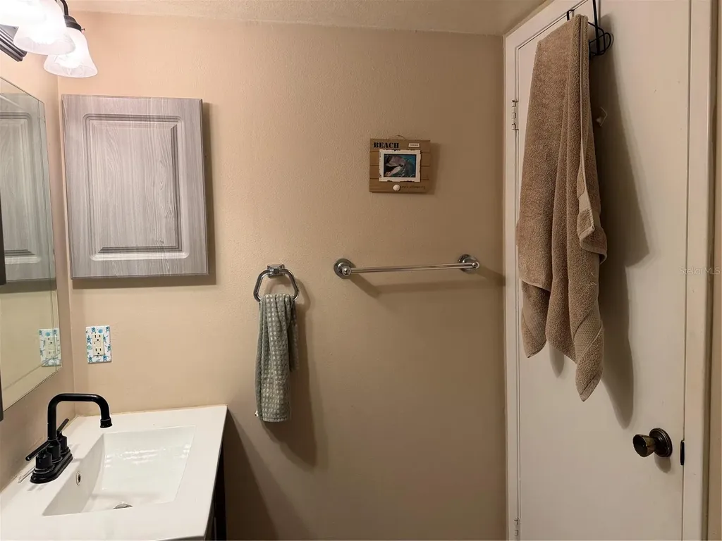 20893 Haulover Cove Lutz FL 33558