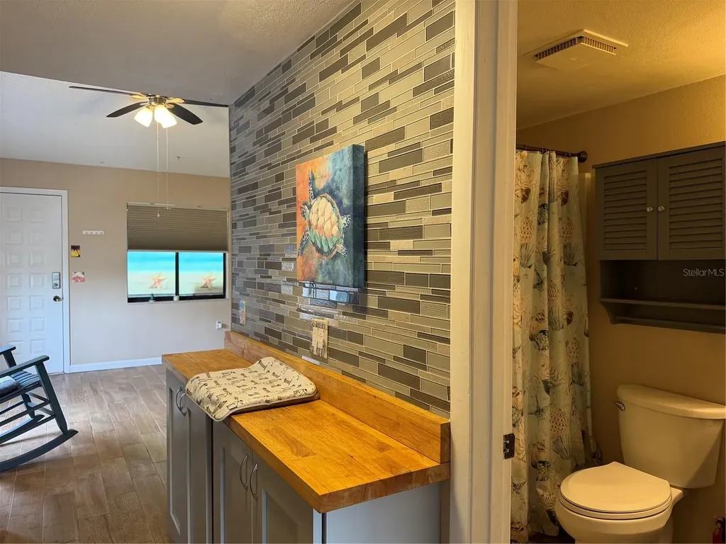 20893 Haulover Cove Lutz FL 33558