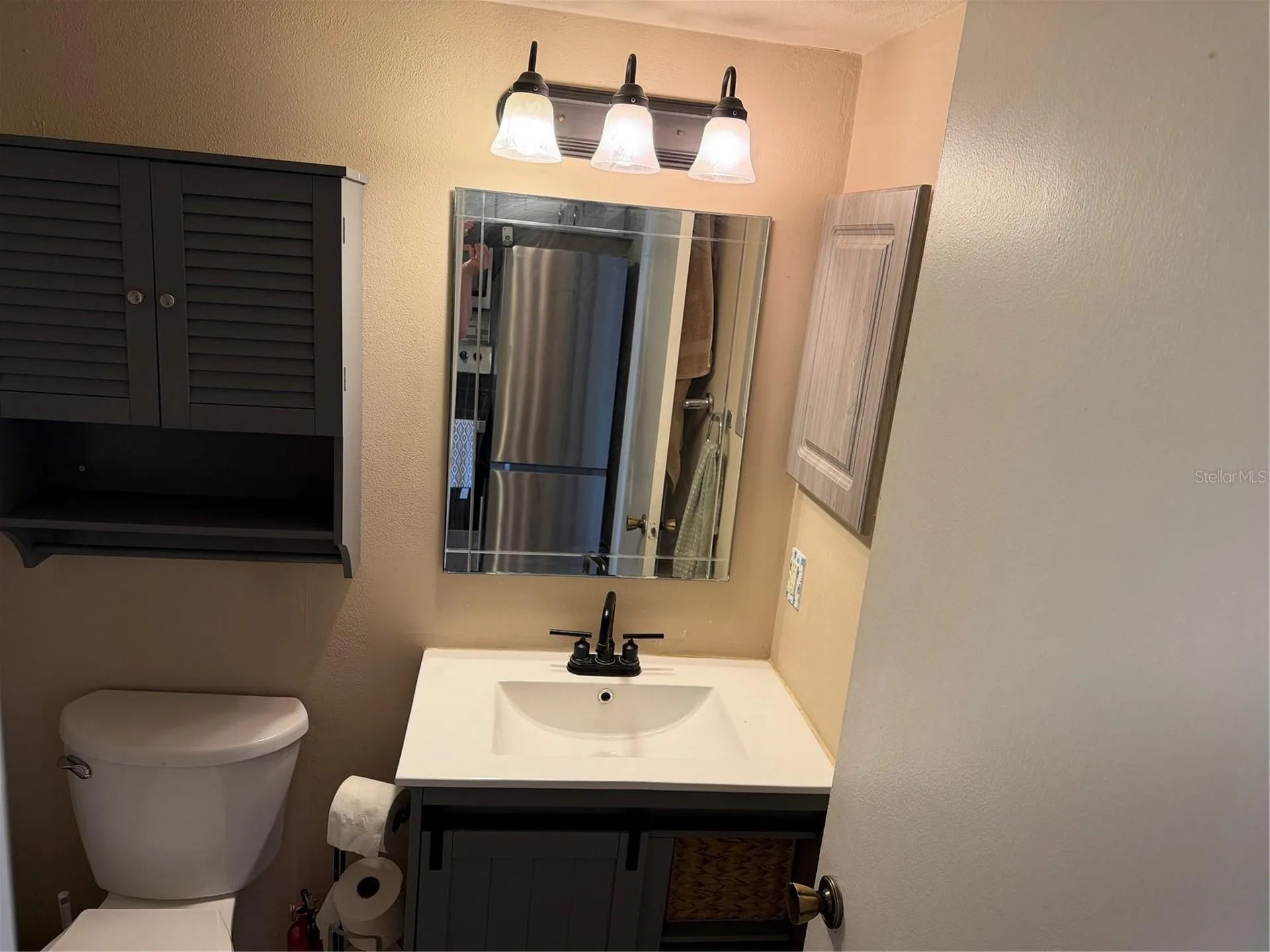 20893 Haulover Cove Lutz FL 33558