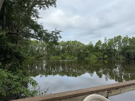 20893 Haulover Cove Lutz FL 33558