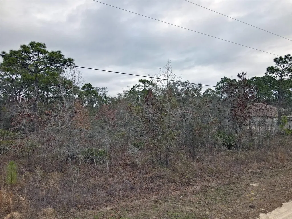 0 Seattle Wren Avenue Brooksville FL 34614