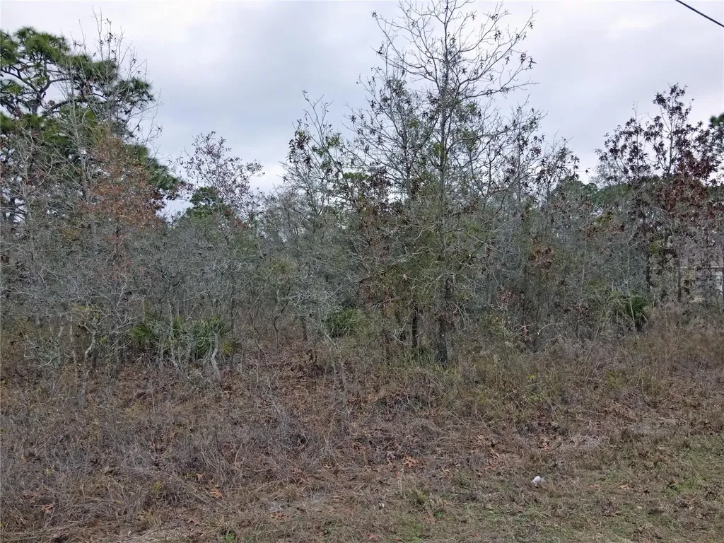 0 Seattle Wren Avenue Brooksville FL 34614