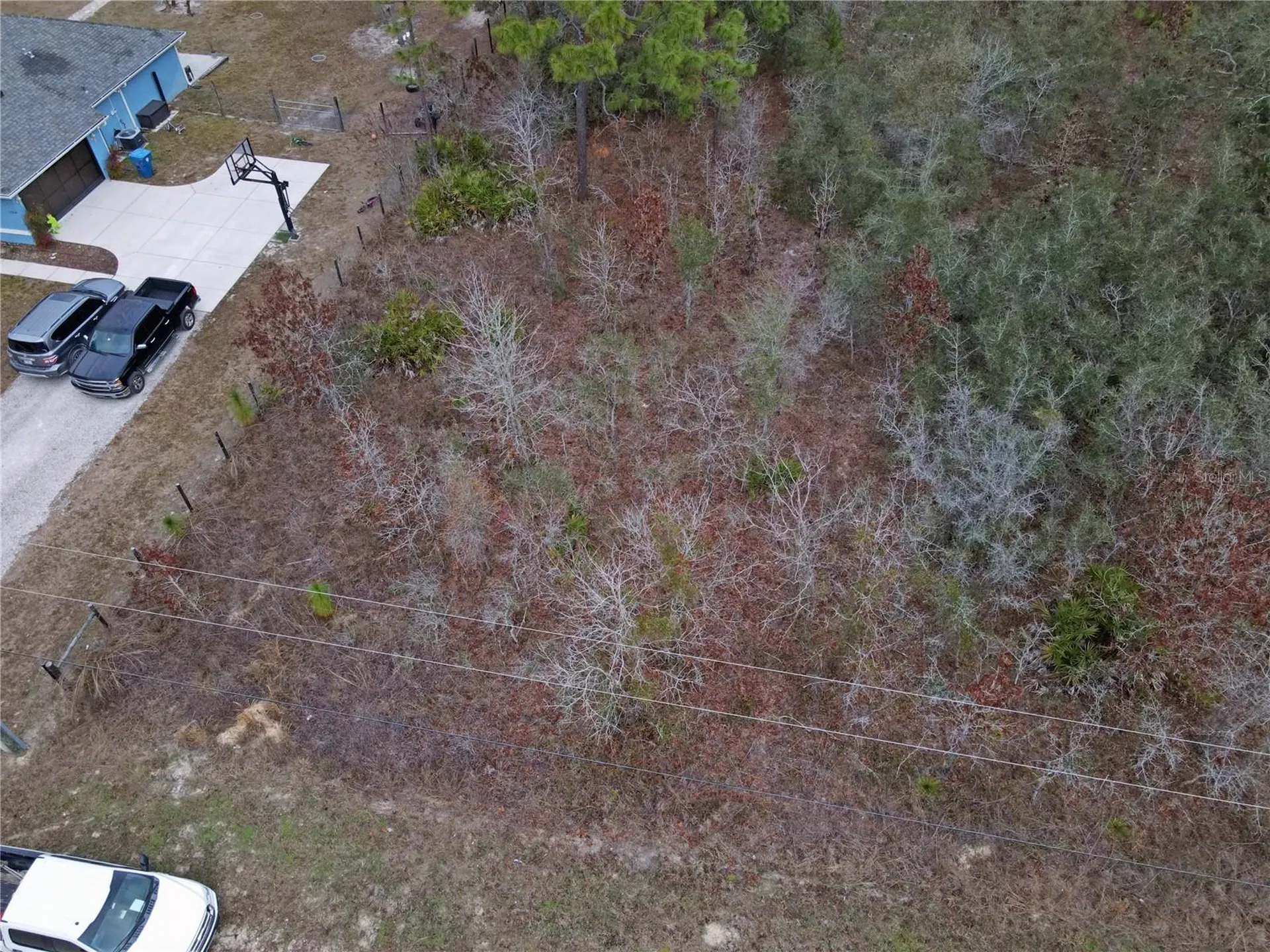 0 Seattle Wren Avenue Brooksville FL 34614