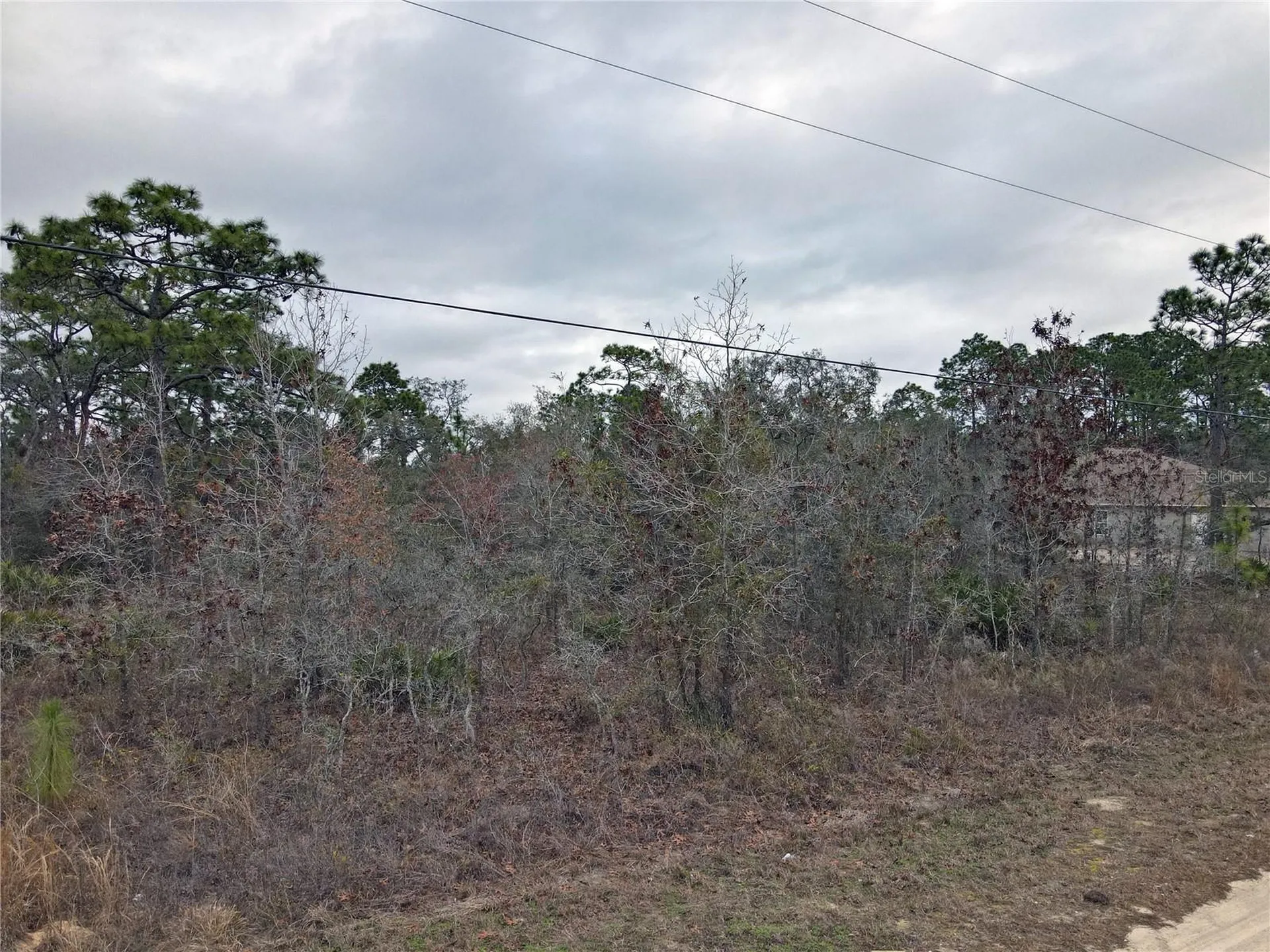 0 Seattle Wren Avenue Brooksville FL 34614