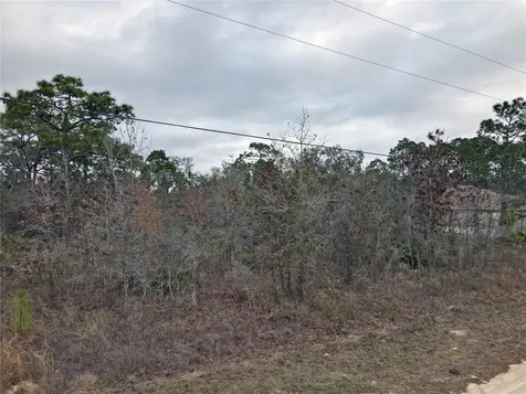 0 Seattle Wren Avenue Brooksville FL 34614