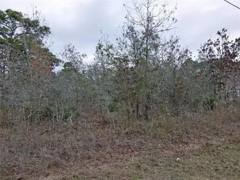 0 Seattle Wren Avenue Brooksville FL 34614