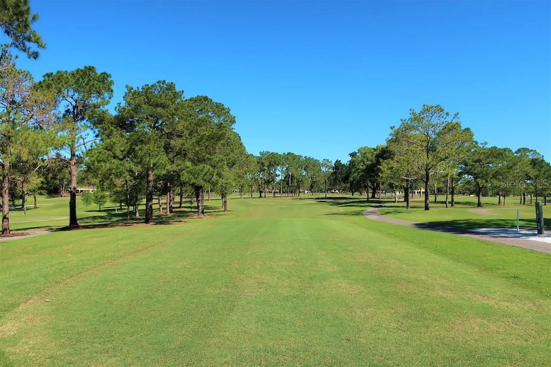 3351 Stonehaven Court W Palm Harbor FL 34684