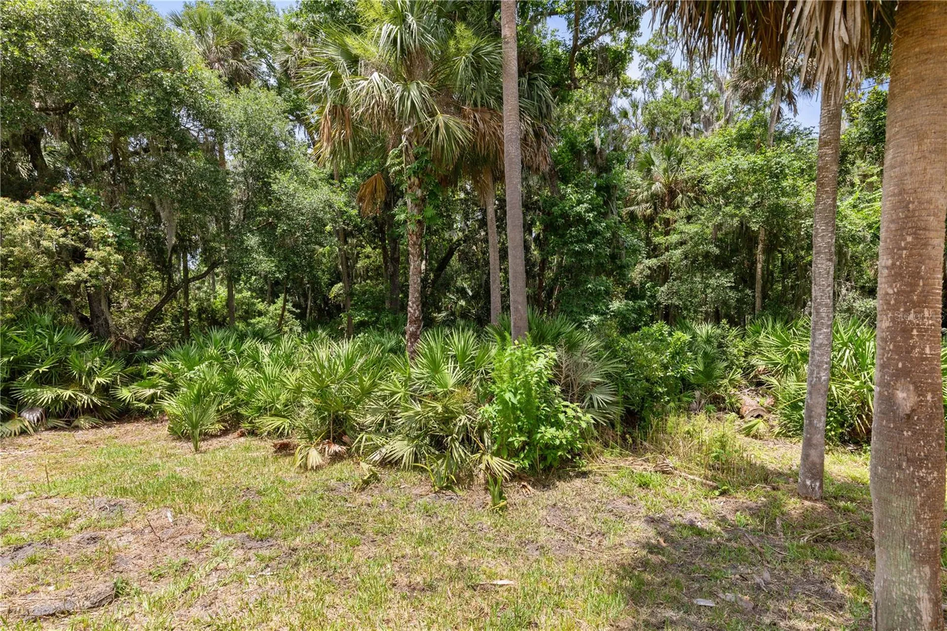 41 Auberry Drive Palm Coast FL 32137