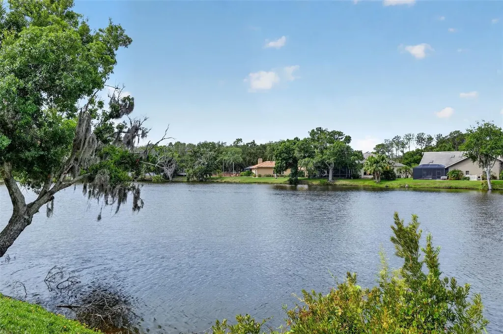 4856 Westchester Court Oldsmar FL 34677