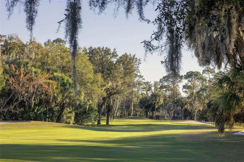 4856 Westchester Court Oldsmar FL 34677