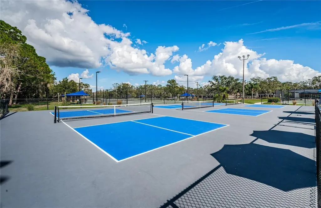 4856 Westchester Court Oldsmar FL 34677