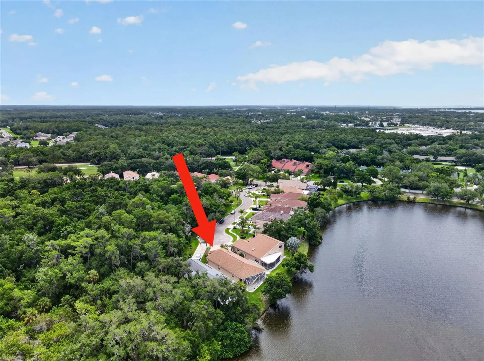 4856 Westchester Court Oldsmar FL 34677