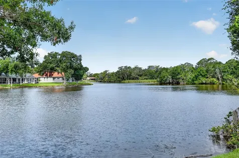 4856 Westchester Court Oldsmar FL 34677