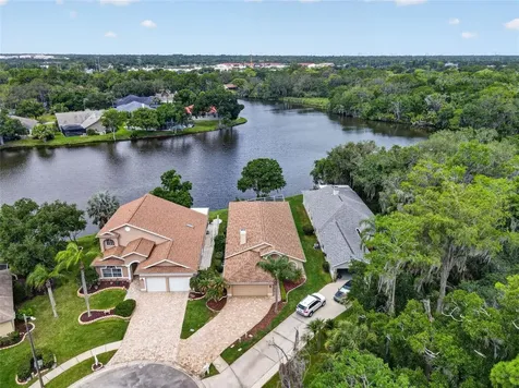 4856 Westchester Court Oldsmar FL 34677