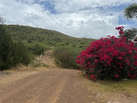Pr 250 Km 2.5 Flamenco San Isidro Culebra PR 00775