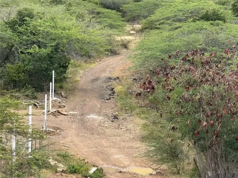 Pr 250 Km 2.5 Flamenco San Isidro Culebra PR 00775
