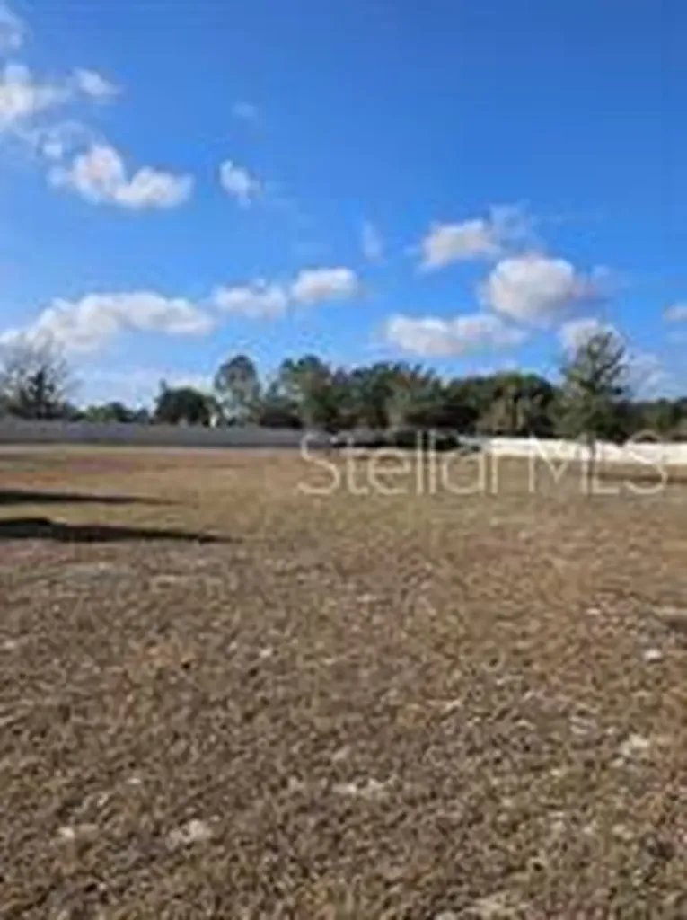 25118 Lambrusco Loop Lutz FL 33559