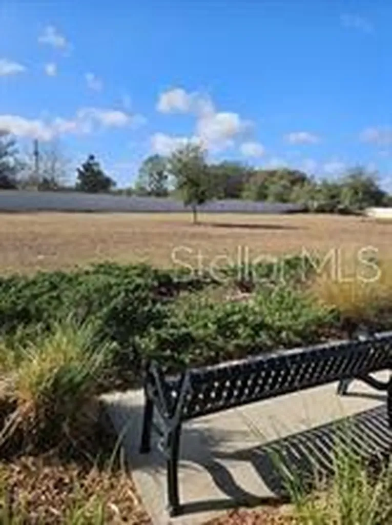 25118 Lambrusco Loop Lutz FL 33559