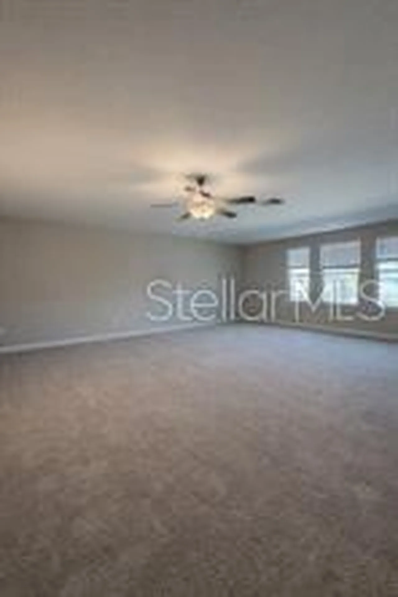 25118 Lambrusco Loop Lutz FL 33559