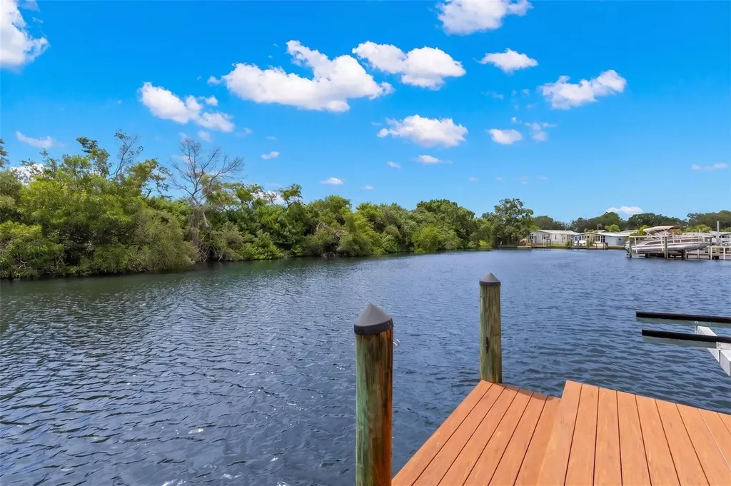6825 Mount Orange Drive NE St Petersburg FL 33702