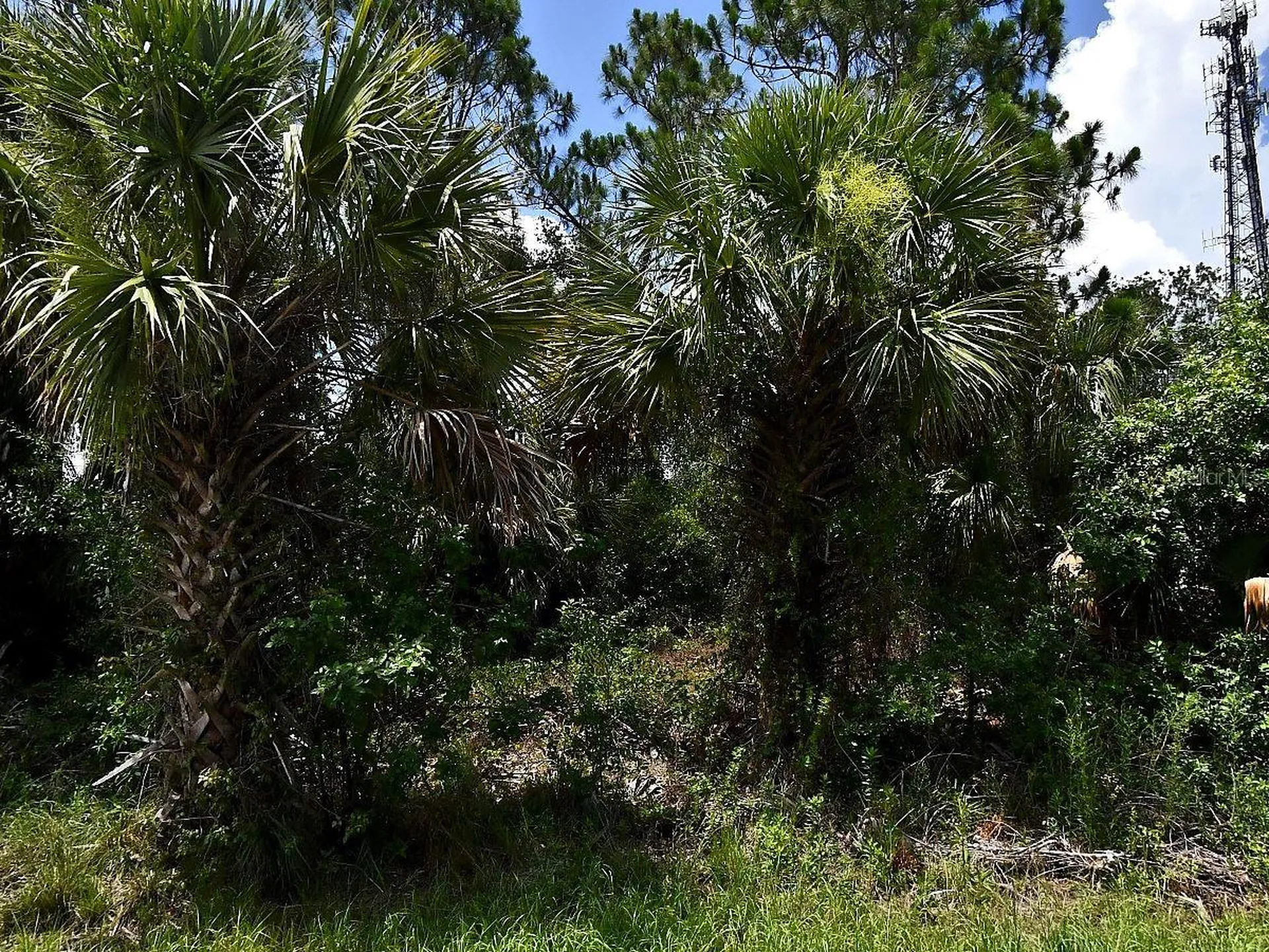 Sago Palm Road North Port FL 34291