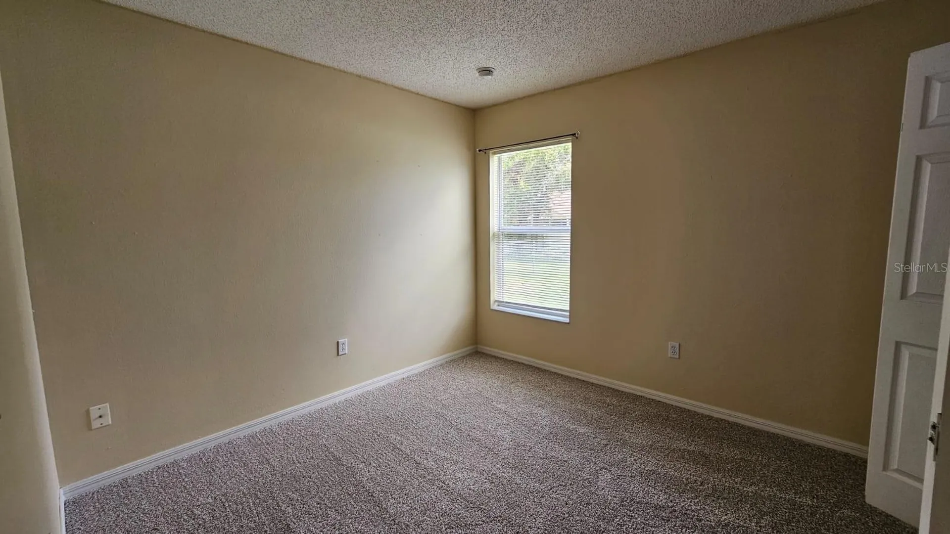 10368 Lansfield Street Spring Hill FL 34608