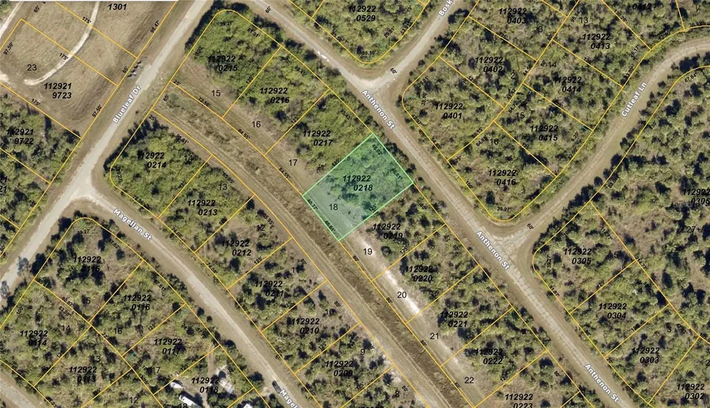 Anthenon Street North Port FL 34288